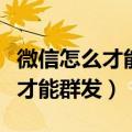 微信怎么才能群发怎么可以发信息（微信怎么才能群发）