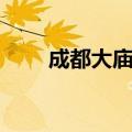 成都大庙会在哪里（简单介绍一下）