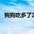 狗狗吃多了怎么办（小狗吃撑了如何解决）