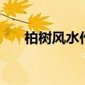 柏树风水作用（柏树风水作用有哪些）
