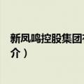 新凤鸣控股集团有限公司（关于新凤鸣控股集团有限公司简介）
