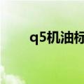 q5机油标号多少（关于奥迪的简介）