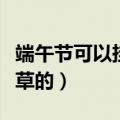 端午节可以挂艾草吗（端午节是什么时候挂艾草的）