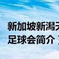 新加坡新潟天鹅足球会（关于新加坡新潟天鹅足球会简介）