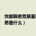 忧郁瞬息荒草萋萋幽寂的意思（忧郁瞬息荒草萋萋幽寂的意思是什么）