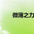 微薄之力什么意思（微薄之力造句）
