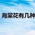 海棠花有几种哪些品种比较好（海棠花介绍）