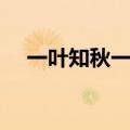 一叶知秋一地金是指什么生肖（为什么）