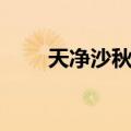 天净沙秋赏析（天净沙秋文章欣赏）
