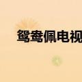 鸳鸯佩电视剧剧情（鸳鸯佩电视剧简介）