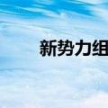 新势力组合（关于新势力组合简介）