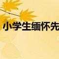 小学生缅怀先烈寄语（关于缅怀先烈的寄语）