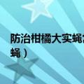 防治柑橘大实蝇常用的方法是什么（应该如何防治柑橘大实蝇）