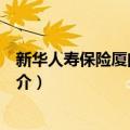 新华人寿保险厦门分公司（关于新华人寿保险厦门分公司简介）