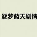 逐梦蓝天剧情介绍（逐梦蓝天主要演员介绍）