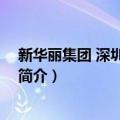 新华丽集团 深圳有限公司（关于新华丽集团 深圳有限公司简介）