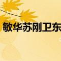 敏华苏刚卫东是什么电视剧（大丽家的往事）