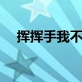 挥挥手我不让你走是哪首歌（完整歌词）