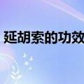 延胡索的功效与作用（延胡索对人体的好处）