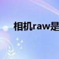 相机raw是什么意思（相机raw的意思）