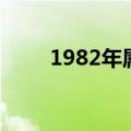 1982年属什么生肖（1982年属狗）