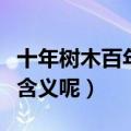十年树木百年树人的树是什么意思（树有什么含义呢）