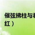 催弦拂柱与君饮下一句（下一句看朱成碧颜始红）