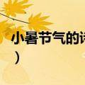 小暑节气的诗词（关于小暑节气的诗句有哪些）