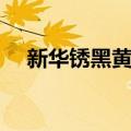 新华锈黑黄土（关于新华锈黑黄土简介）