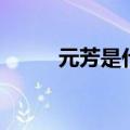元芳是什么意思啊（元芳的意思）