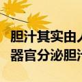 胆汁其实由人体的哪一个器官分泌的（哪一个器官分泌胆汁）
