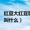 红豆大红豆歌名叫什么（红豆大红豆歌名具体叫什么）