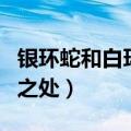 银环蛇和白环蛇区别（银环蛇和白环蛇的不同之处）