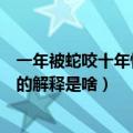 一年被蛇咬十年怕井绳是什么意思（一年被蛇咬十年怕井绳的解释是啥）