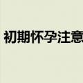初期怀孕注意事项（初期怀孕注意事项介绍）