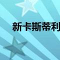 新卡斯蒂利亚（关于新卡斯蒂利亚简介）