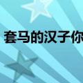 套马的汉子你威武雄壮什么歌（套马杆歌词）