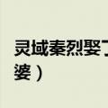 灵域秦烈娶了几个老婆（灵域秦烈的有几个老婆）