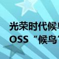光荣时代候鸟是谁（《光荣时代》终极幕后BOSS“候鸟”是谁）