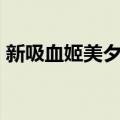 新吸血姬美夕④（关于新吸血姬美夕④简介）
