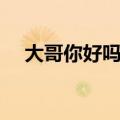 大哥你好吗歌词（甘萍大哥你好吗歌词）