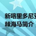 新喀里多尼亚多棘海马（关于新喀里多尼亚多棘海马简介）