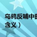 乌鸦反哺中的哺是什么意思（乌鸦反哺中的哺含义）