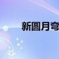 新圆月弯刀（关于新圆月弯刀简介）