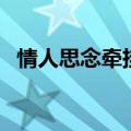 情人思念牵挂短信（思念的情侣短信范例）