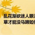 乱花渐欲迷人眼浅草才能没马蹄的意思（乱花渐欲迷人眼,浅草才能没马蹄如何理解）