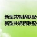 新型共轭桥联配体及一维链混合价配合物的合成设计（关于新型共轭桥联配体及一维链混合价配合物的合成设计简介）