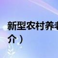 新型农村养老保险（关于新型农村养老保险简介）