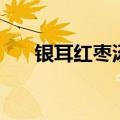 银耳红枣汤的功效（银耳红枣汤介绍）