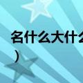 名什么大什么成语（名什么大什么成语有哪些）